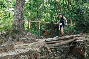 BIB: 
                            <button type="button" onclick="openModal(27802420)" class="btn btn-primary btn-sm float-right btn-popup" data-toggle="modal" data-target=".modal-high-quality">
                        <i class="fas fa-shopping-cart"></i> Add to Cart
                    </button>
                                            <button type="button" onclick="isThisMe(27802420, true)" class="btn btn-success btn-sm float-right btn-popup btn-isme hidden" data-toggle="tooltip" data-placement="bottom" title="นี่คือรูปของคุณใช่ไหม คลิกที่นี่เพื่อเอาเข้าอัลบั้ม">
                        <i class="fas fa-plus"></i> Add to album
                    </button>
                    <button type="button" onclick="isThisMe(27802420, false)" class="btn btn-warning btn-sm float-right btn-popup btn-isnotme hidden">
                        <i class="fas fa-ban"></i> Remove from album
                    </button>